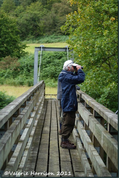 5-on-bridge