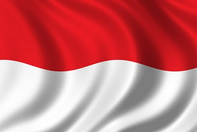 Indonesian Flag