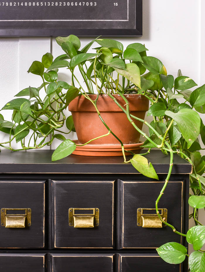 Dresser turned faux apothecary cabinet