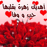 خلفيات حب