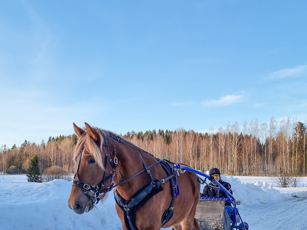 Vendan ensimmäinen ajotunti maneesissa