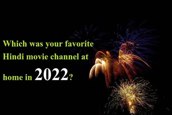 Which was your favorite Hindi movie channel at home in 2022?
