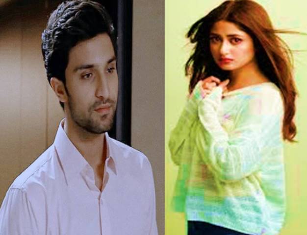 What are Reasons for Divorce of Sajal Aly and Ahad Raza Mir