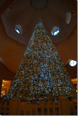 regn epcot 003