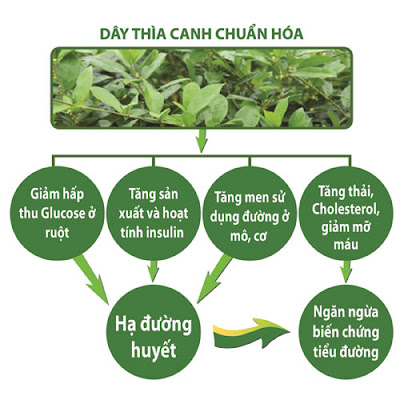 Báo động biến chứng khôn lường của bệnh tiểu đường