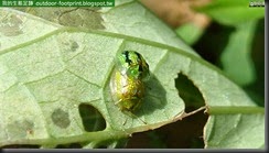 20140722_115426_112_BaiMaSi