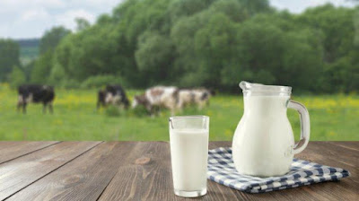 Manfaat Susu Sapi Segar untuk Kesehatan Tubuh