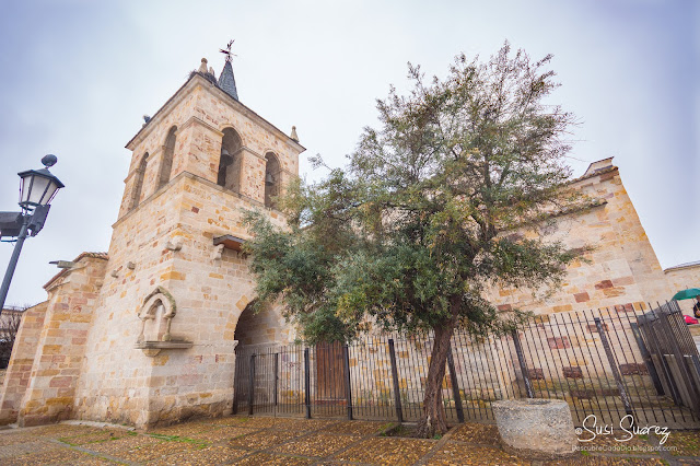 Zamora, rutas para descubrir la ciudad