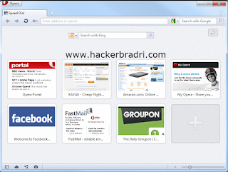 Free Download Latest Opera Web browser full www.hackerbradri.com