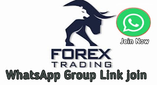 Forex Trading WhatsApp Group Link Join now