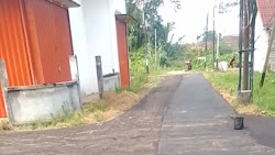 Pembangunan Pengaspalan Jalan Vila Mega Mas Tanpa Plang Proyek: Melanggar Asas Transparansi dan Akuntabilitas