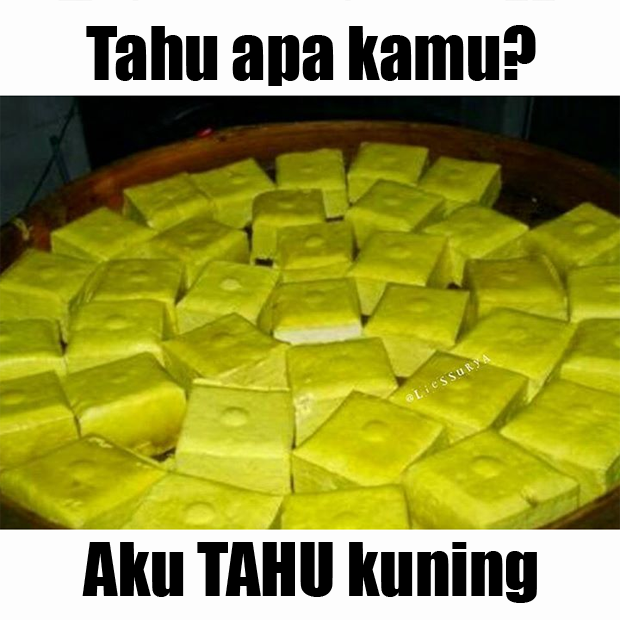 16 Gambar Meme Lucu tentang TAHU yang bikin Ngakak 