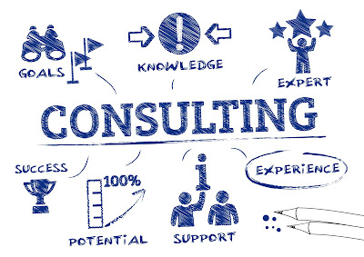 IT consulting service provider 