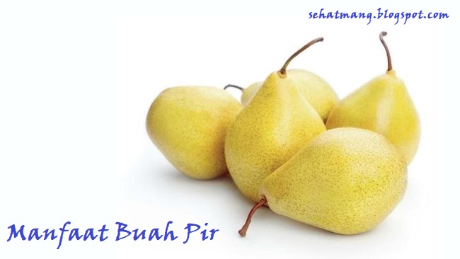 Manfaat Buah Pir - Info SehatMang