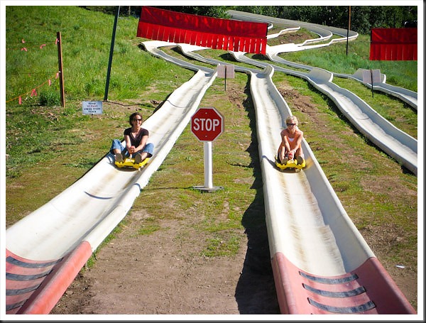 alpine slide