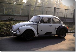 fravw_600