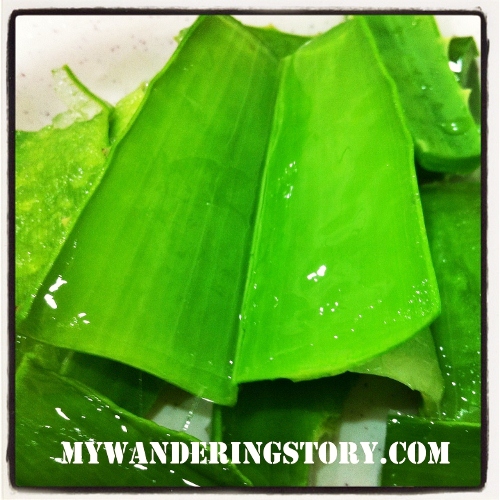 The Wanderer S Journal Aloe Vera For Hair Loss Treatment