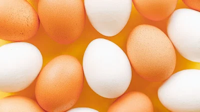 Telur ayam yang berwarna coklat dan putih