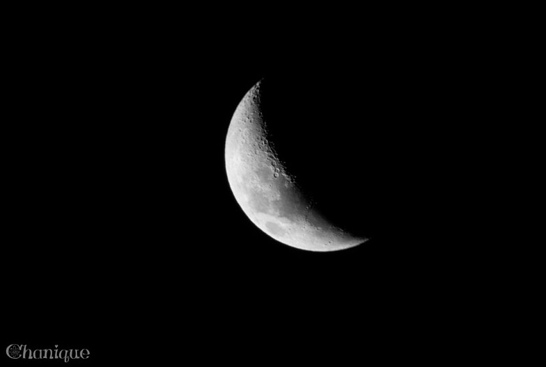 SONY DSC