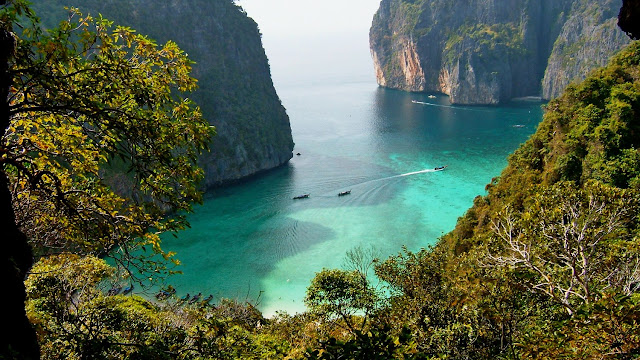 View point at Maya Bay