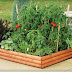 4 Tips on Raised Bed Home Vegetable Gardening