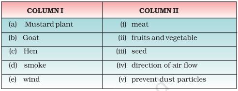 Question 15 Class 6th NCERT Exemplar Chapter 1 