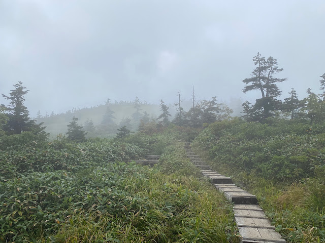 Naeba's (木のトレイル) wooden trail 2