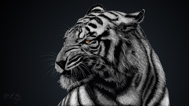 hd tiger wallpaper