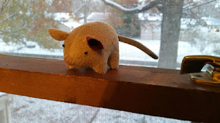 Aristotle II toy mouse in window