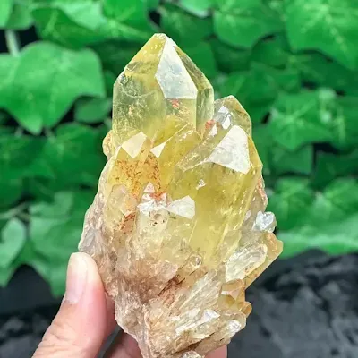 Natural citrine crystals