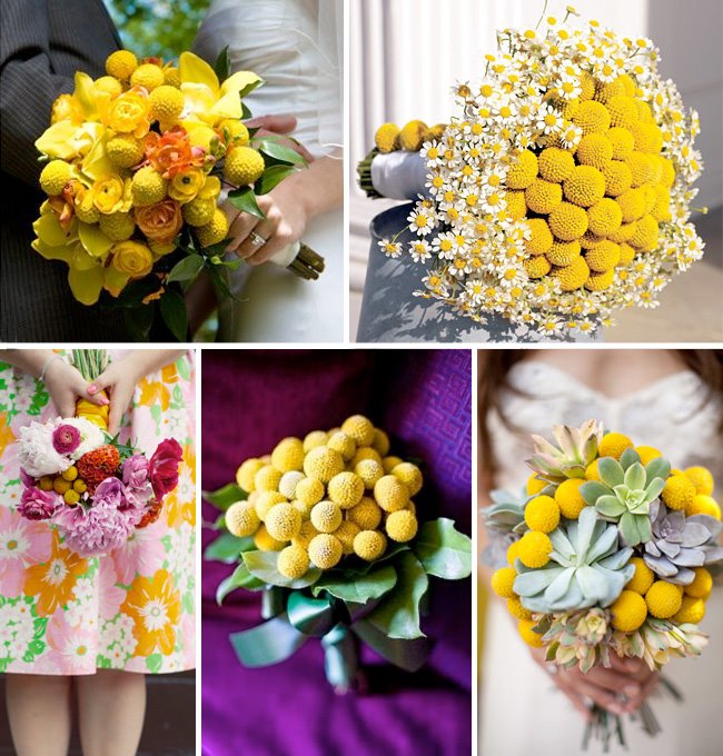 billy button yellow bouquets