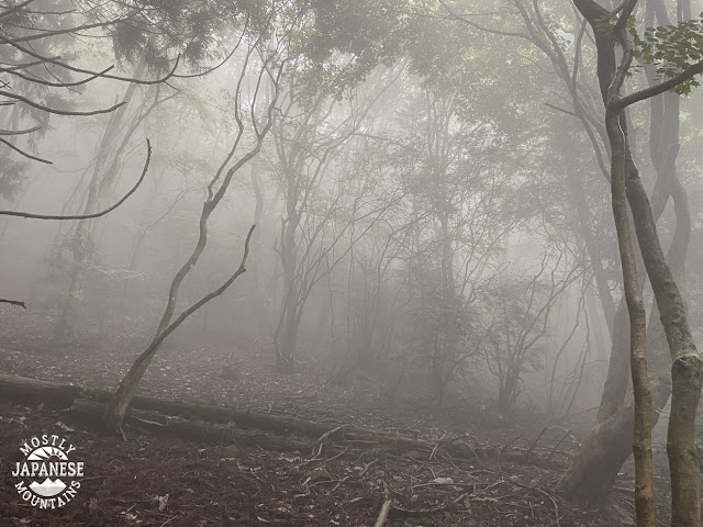 foggy mountain in Japan 霧の山