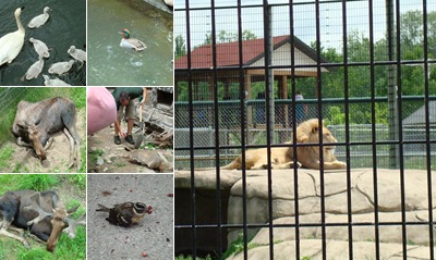 View Bay Beach-N.E.W. Zoo