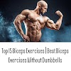 Top 15 Biceps Exercises | Best Biceps Exercises Without Dumbbells
