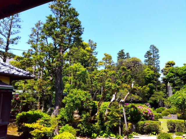 柴又帝釈天　邃渓園