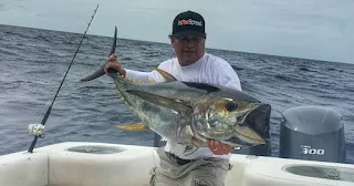 yellowfin tuna in the spread seth horne