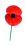 poppy