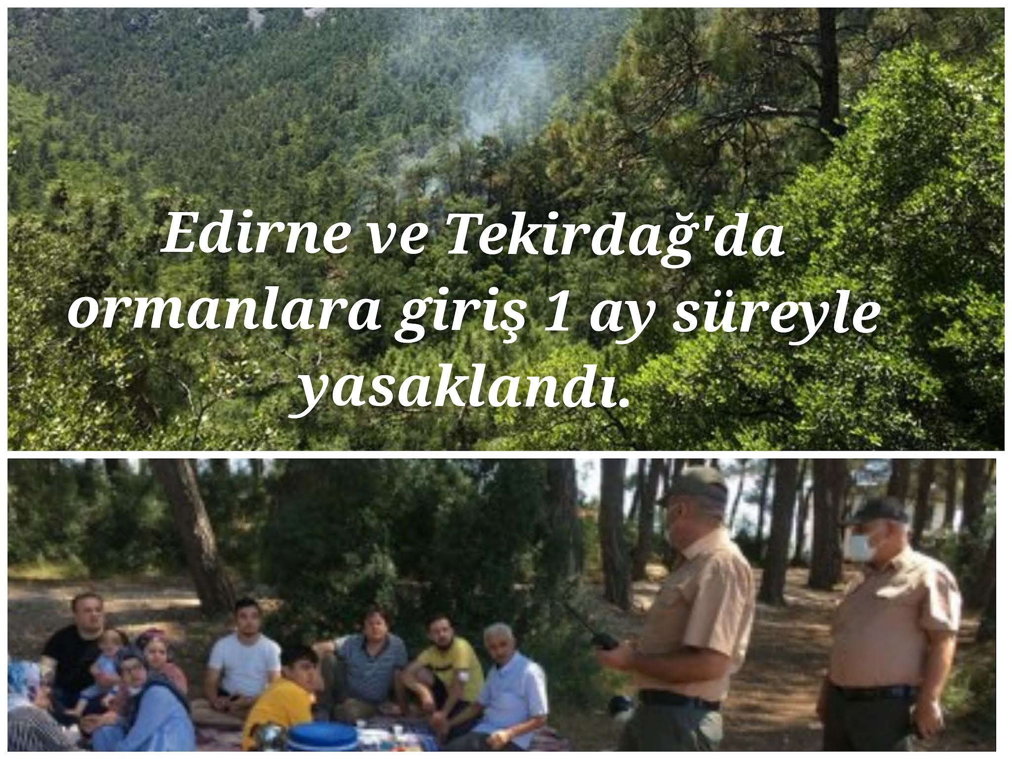 Edirne ve Tekirdağ'da ormanlara giriş 1 ay süreyle yasaklandı