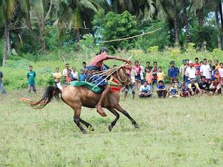 Festival Pasola Sumba