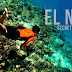 EL NIDO Island Hopping Tours