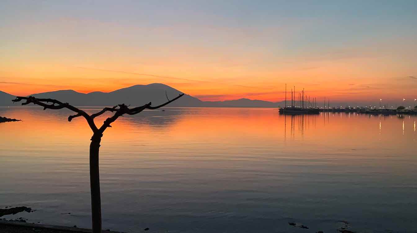 Έμειναν άφωνοι με το θέαμα στην παραλία της Νέας Αρτάκης και πήραν τα κινητά τηλέφωνα για να το φωτογραφήσουν.