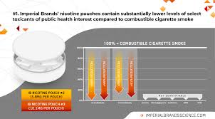    The Future of Nicotine Pouch Regulations: What’s on the Horizon?