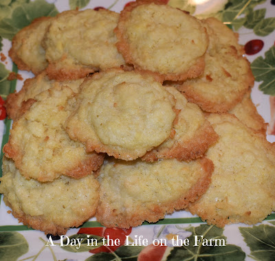 Coconut Cookies