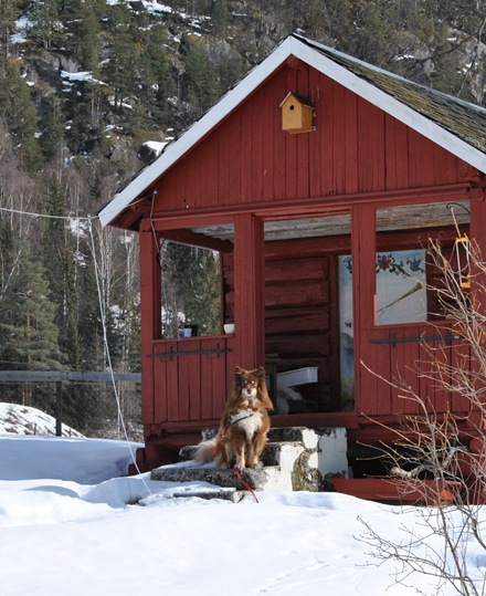 Nalle 023