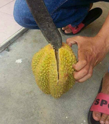 manfaat buah durian