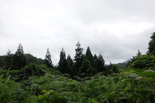 鎌倉山グリーンラインの山々