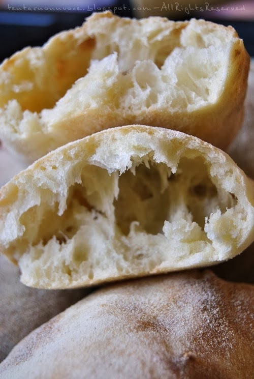 panarabo002