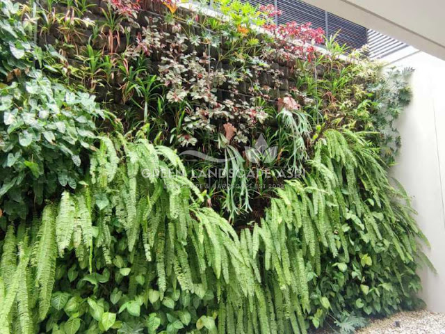 Tukang Taman Vertikal Langsa - Harga Pembuatan Vertical Garden 2025