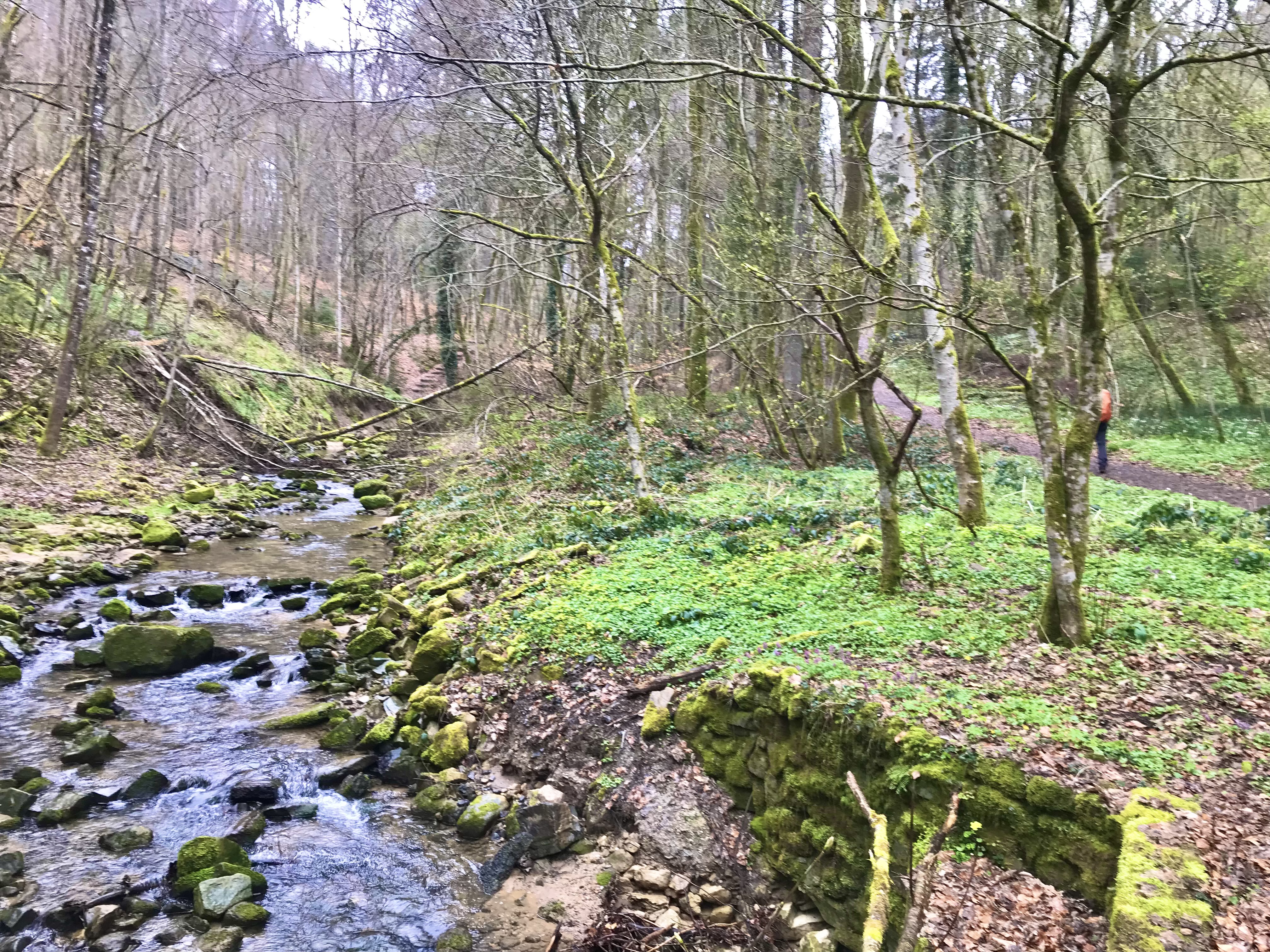 MULLERTHAL TRAIL, MULLERTHAL,  ECHTERNACH, LUXEMBURGO