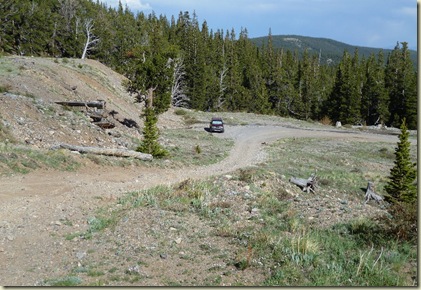 BristleConePineTrip4